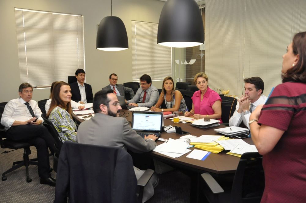 Estudo do projeto piloto foi apresentado pela secretária geral Márcia Maluf (Zinho Gomes)