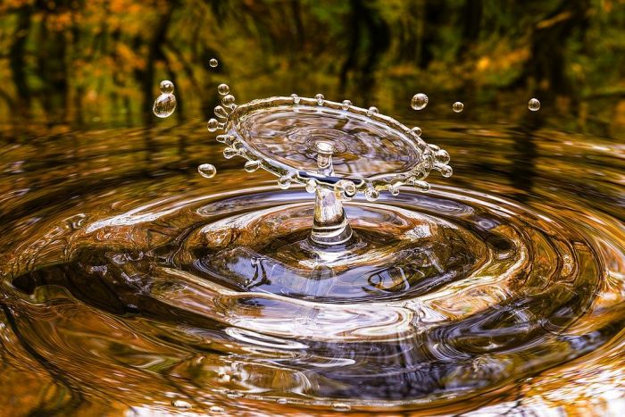 Falta de água em Curitiba: especialista explica como a natureza ajuda na garantia hídrica para a população