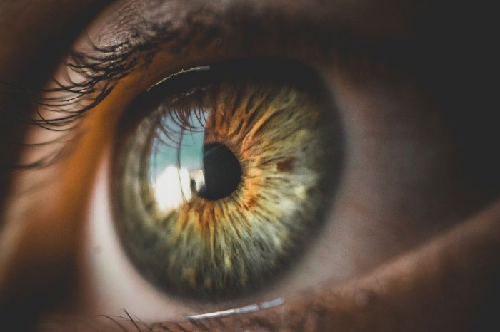 O Dia Mundial da Saúde Ocular alerta sobre os cuidados com a visão