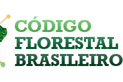 Ibape-PR esclarece profissionais e sociedade sobre novidades no código florestal brasileiro