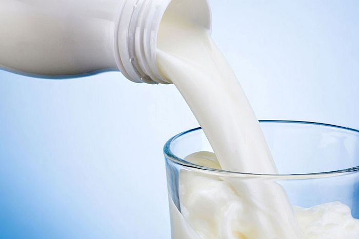 Intolerância à lactose não é alergia ao leite