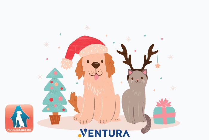 Natal Solidário no Shopping Ventura