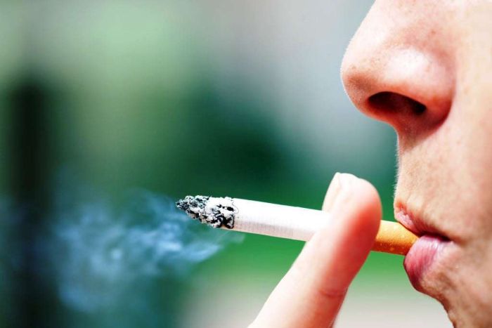 Cerca de 30% das mortes causadas pelo câncer são associadas ao tabagismo
