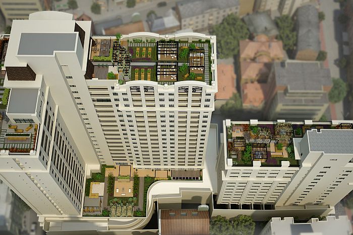 Novas construções apostam em telhados verdes