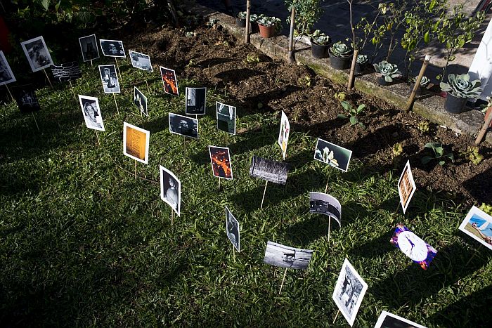 Jardim Fotográfico - Crédito Nilo Biazetto