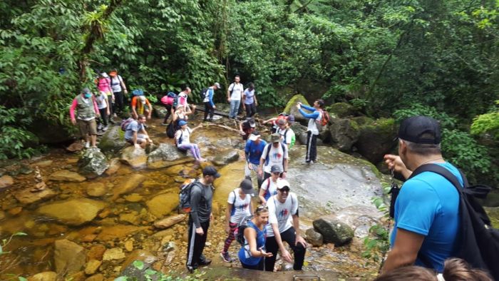Os atletas do Corrida Legal fizeram um passeio por trilhas dentro do Complexo Marumbi - Foto: Divulgação