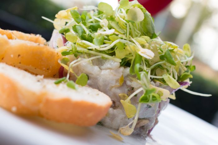 Ceviche de peixe branco e com agrião baby e torradas - Foto: Fernando Zanon Ceviche de peixe branco e com agrião baby e torradas - Foto: Fernando Zanon