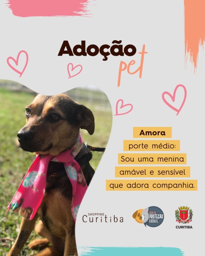 Foto: Divulgação Foto: Divulgação