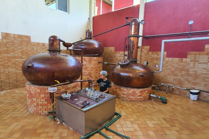 Cachaçaria de Morretes produzirá álcool 70 para combater o Coronavírus