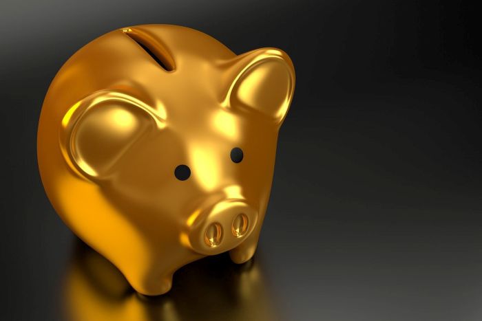 Especialista financeiro dá dicas para entrar no azul em 2021