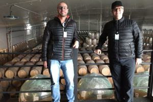 Consumo de vinhos cresce 20% no Brasil durante a pandemia