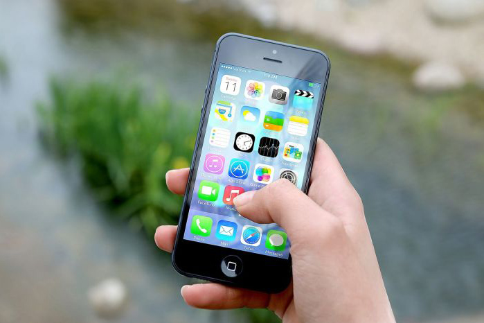 Youngers cria APP para promover a prestação de serviços de pessoas em vulnerabilidade