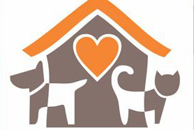 Campanha de adoção de cães neste sábado