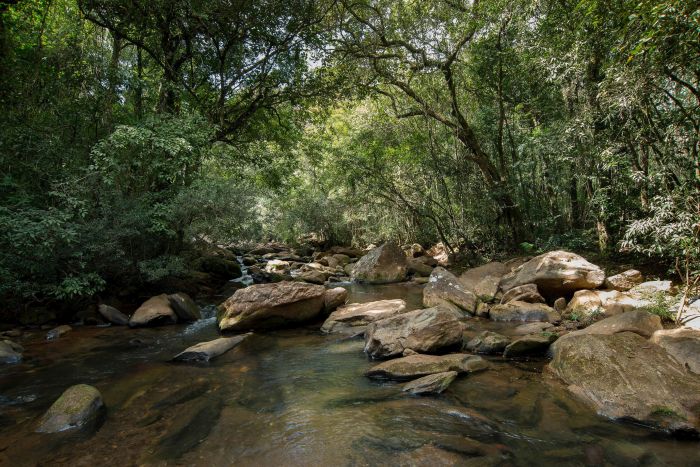 No Fórum Mundial da Água, Grupo Boticário assume compromisso público para eficiência hídrica