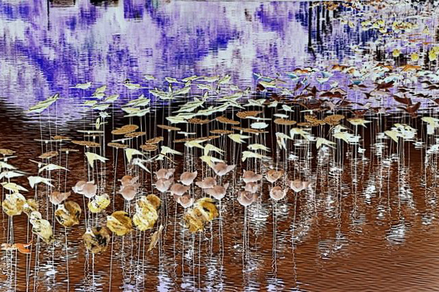  APAP/PR abre neste domingo exposição fotográrica