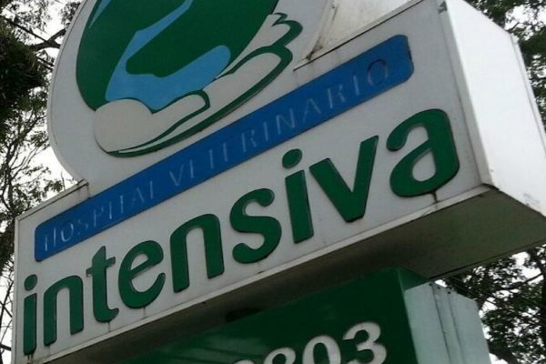 Hospital Veterinário Intensiva é referência em atendimento humanizado para animais