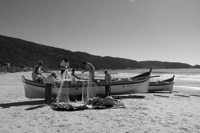 Pesca artesanal de tainha é atração para turistas em Bombinhas nesta época do ano