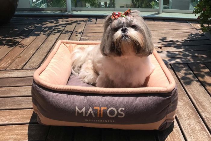 Locação de temporada inclui camas para pets entre facilidades para hóspedes