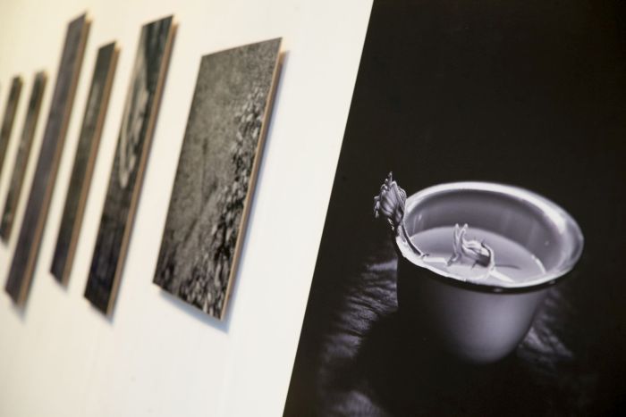 Exposição “Ressignificar”: um novo olhar à fotografia