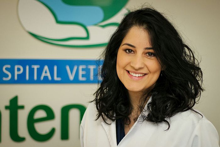 Educação é o ponto de partida para reduzir população de cães e gatos que vivem nas ruas